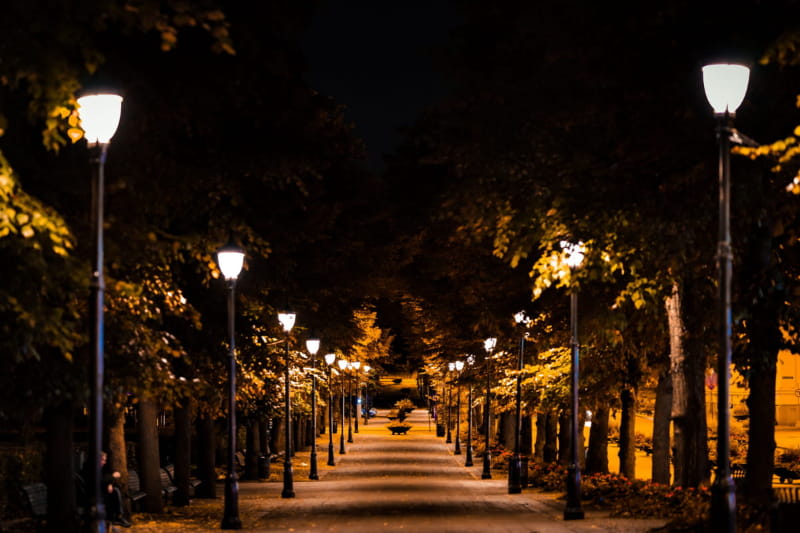 beautiful-shot-of-a-road-lined-with-lamp-posts-dur-2026-03-17-21-46-08-utc (1) (1)